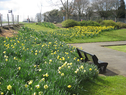 Spring in the Park