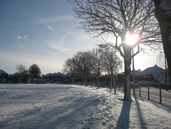 Winter in the Park