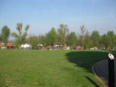 Urban forest