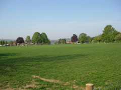 The football pitch